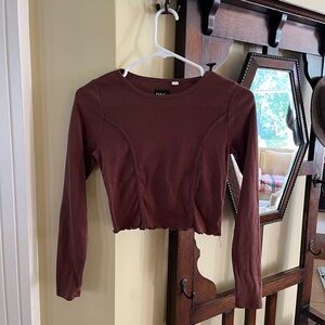 Pacsun long sleeve brown cropped top - small